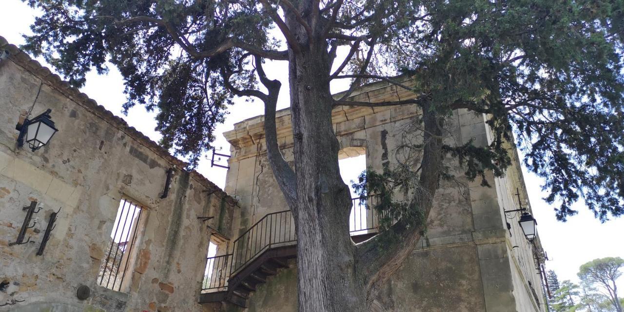 Le Mimosa Bed & Breakfast Saint-Saturnin-de-Lucian Exterior photo